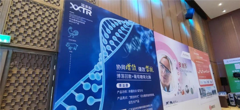 1599051757390558.jpg 05.jpg