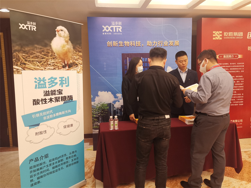 1635902486108347.jpg 溢多利站臺.jpg