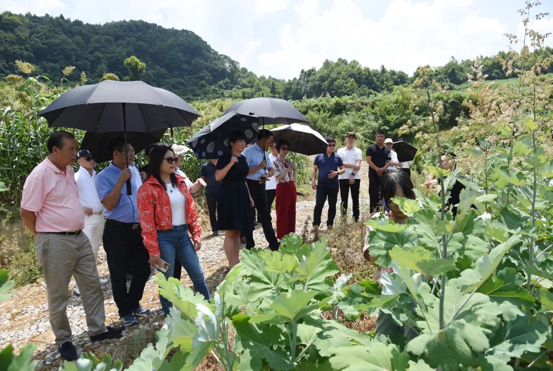 1661844582121007.jpg 06.jpg